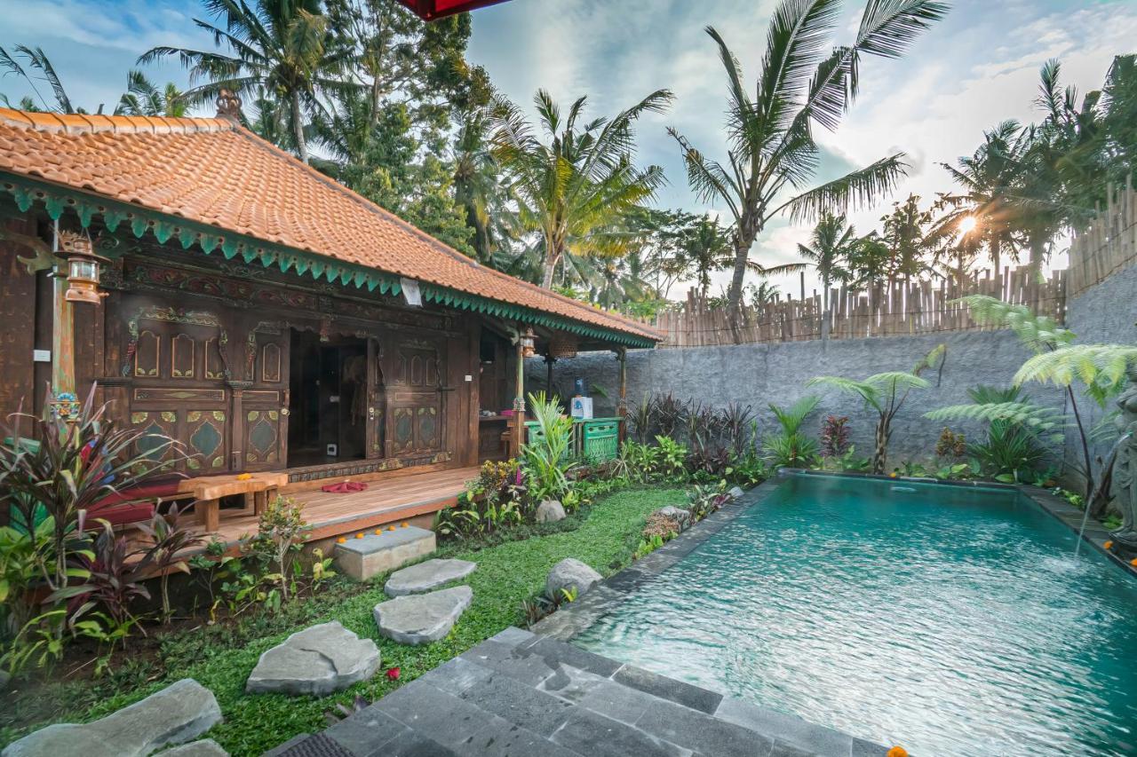 The Forest Batu Kurung Ubud Экстерьер фото